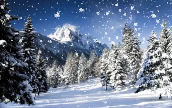 зима, снегопад, твердая, жизненная, духовая, тихая, цинки, деревья,