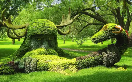 сад, ботанический, скульптура, интернациональный, горный, выставочный, мозаика стервятник, международный