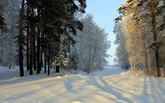 зима, горящие, зрелые, год, русские, зиму, дорогу,