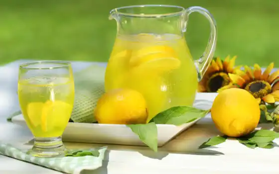лимонад, натуральные условия, цитрусовый, дом, рецепт, делать,