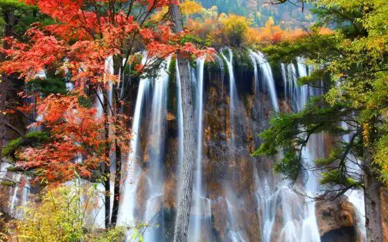 фотообои, осени, плачущий, водопад, лесу, осеннем, заказать, купить, водопадами, водопады, украсят, 
