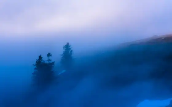 ,, небо, туман, туман, атмосфера, дерево, утро, горная станция, облако,