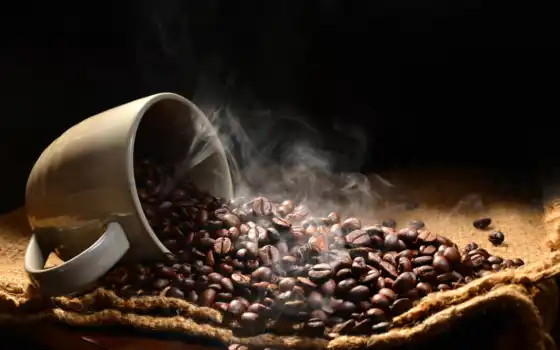 coffee, svezheobzharit
