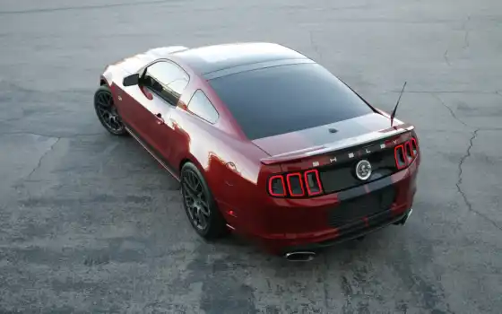 shelby, mustang, ford, car,