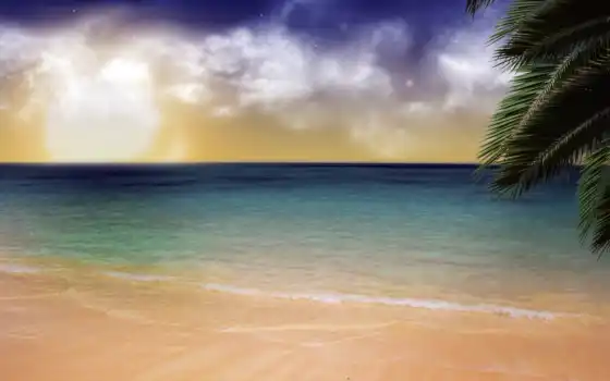 palm, ocean, закат, море, фоны, остров, пляж, океана, берег, пальмы, песок, 