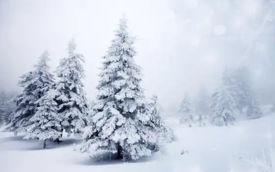 зима, русские, ретро, елки, год, время, время,