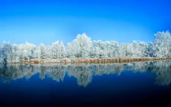 , небо, отражение, природа, вода, синий, зима, дневной, дерево, снег