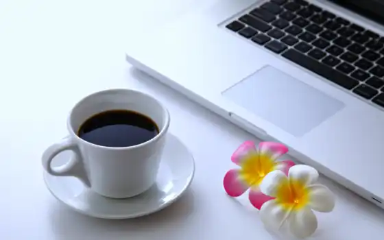 кофе, чашка, macbook, бесплатно