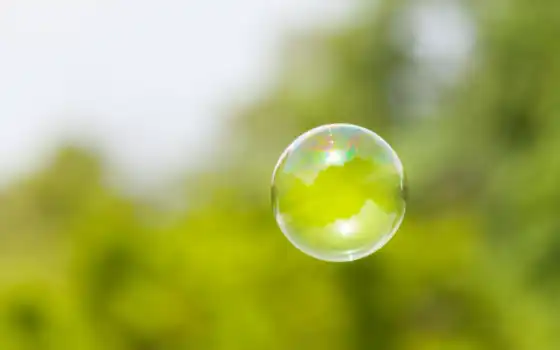 пузырь, фокус, небо, деревья, зелёный