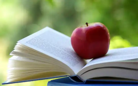 яблоко, книга, плод, продукт, последнее, чтение, нояб,