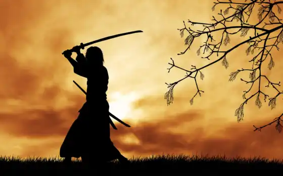 самурай, прокатиться, меч, бросок