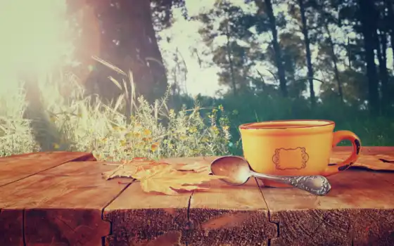 cup, осень, coffee, листья, фронтовой, со, изображение, 