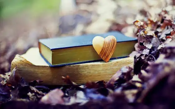 love, книга, осень, лист