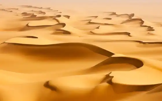 пустыня, бархан, дюн, фунарт, задний, картинкин