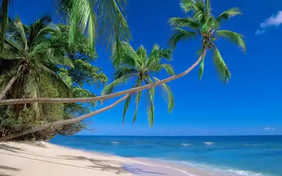 остров, Фиджи, пляж