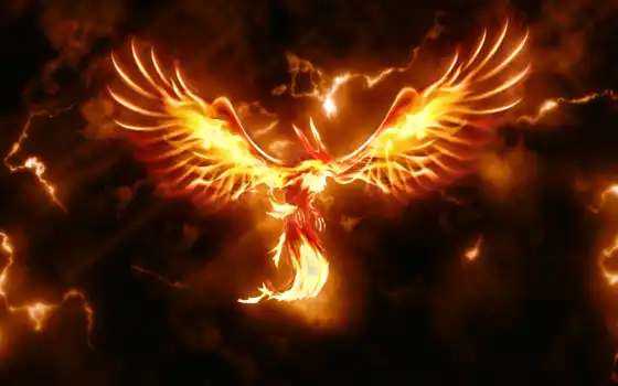 феникс, огненный, перепелятник, рарогии, птица