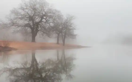 туман, озеро, вода, 