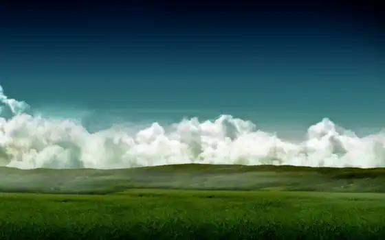 облака, небо, трава, поле, высоком, 