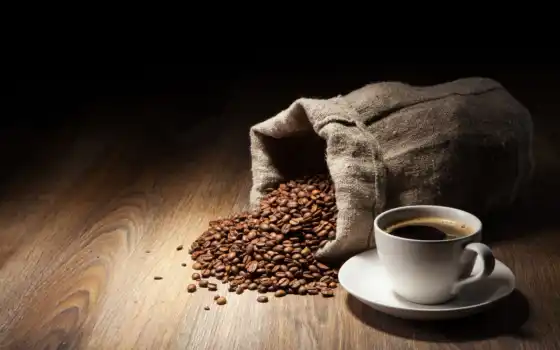 кофе, чашка, семя