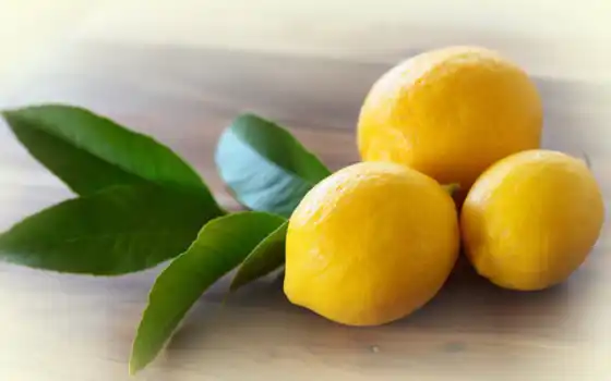 лимон, цитрон, эда, пол, растение, цитрус, лист, картинка, желтый