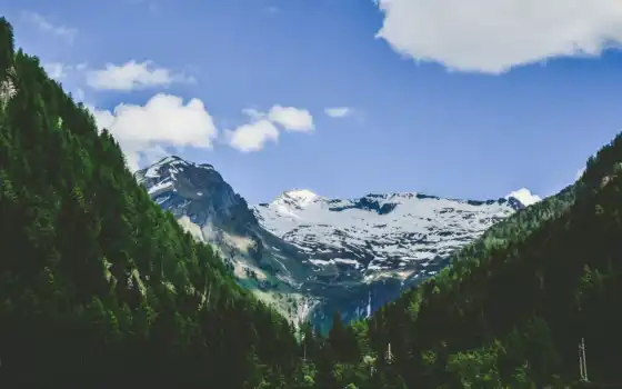 альпы, гора, дерево, снег