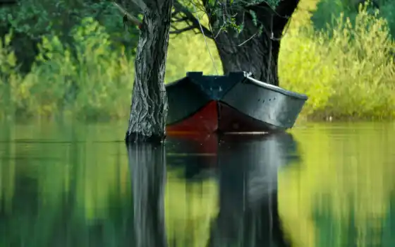 ,лодка,деревья,вода,