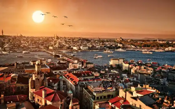 istanbul, hotel, стамбуле, turkey, university, aydin, education, турции, 