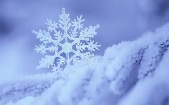 белый, снег, белое, день, зима, снежинка, голубое, 