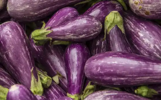 eggplant, qui, les, aubergines, aliments, baby, font, grossir, 