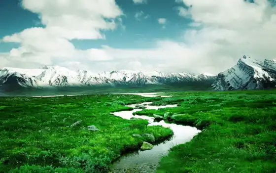 норвежское, горные, весна, норвежское, свободное, чистое, река,