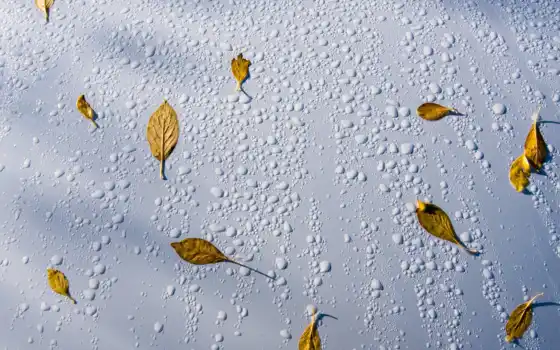 drop, природа, winter, снег, halo
