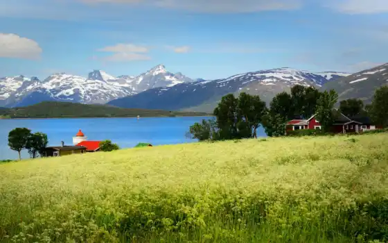 норвегия, поле, фон, норвежское