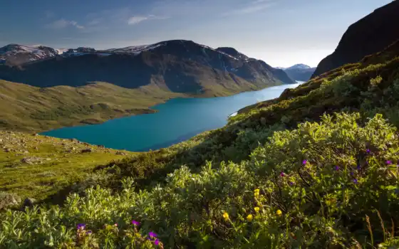 озеро, норвежское, горнолыжное, домашнее, джотунхайман, национальное, лето, фьорд, парк, пейзаж