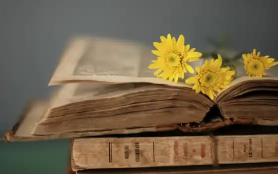 книга, страницы, цветы, стиль, 