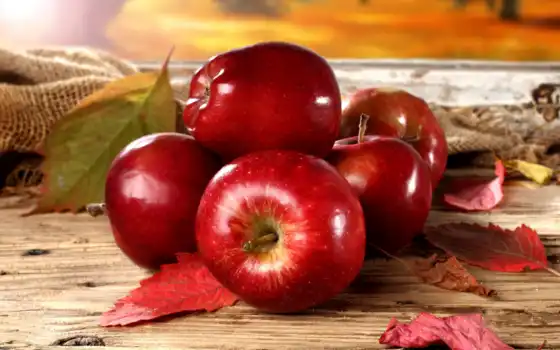 яблоко, глянцевое, с рыжим, красное