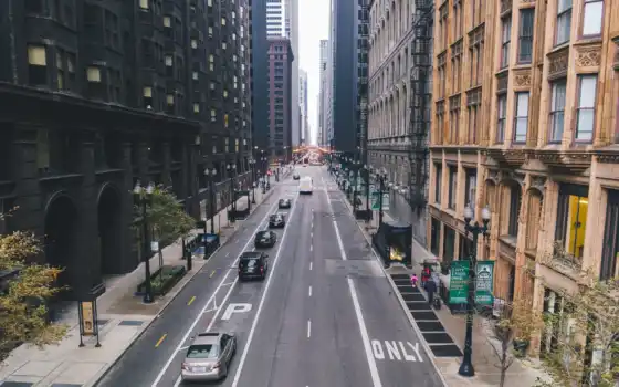 улица, chicago, небоскрёба, school, пожалуйста, knowledge
