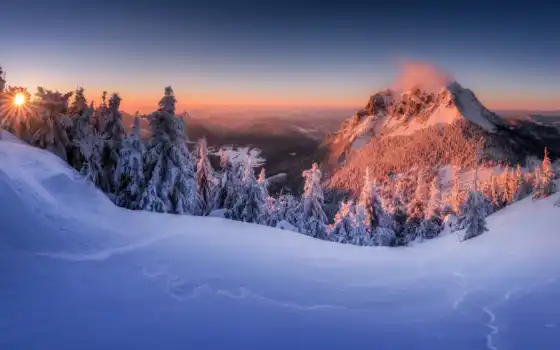 снег, гора, дерево, blue, cover