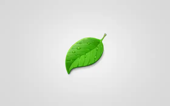 leaf, лист, зелёный, vishnu, vdr, рисунок, imgator, 
