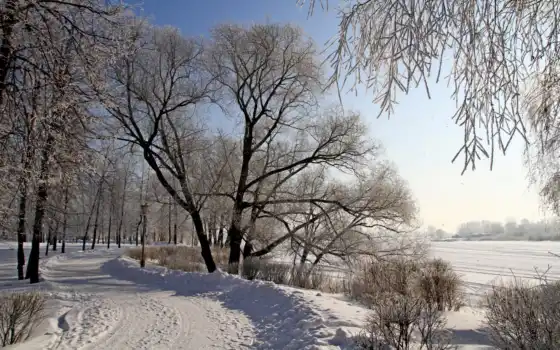 зима, горные деревья, год, время, сезон, интерьер, пейзаж, круг, год,
