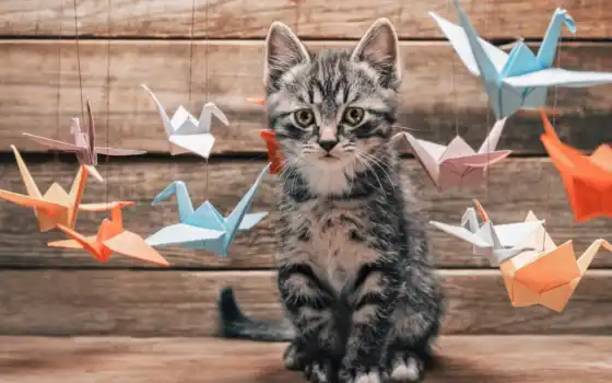 кот, котенок, животное, бумага, птица, оригами, глад, природа, деревянный, орига