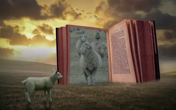 овцы, манипуляции, книга