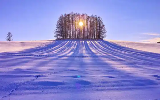zima, priroda, фотография, sibir, солнце, снег, дерево, winter, твои, небо, vlasov