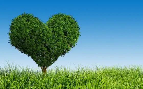 дерево, сердце, трава