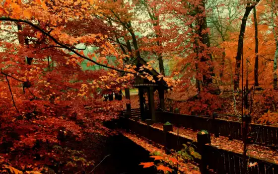 осень, сан, мост, сезон
