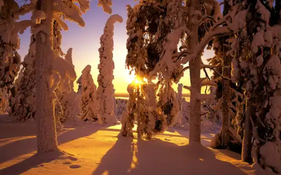 зима, финляндия, прошлое