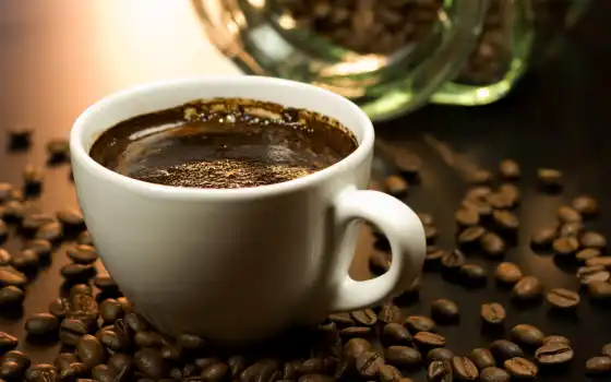coffee, cup, seed