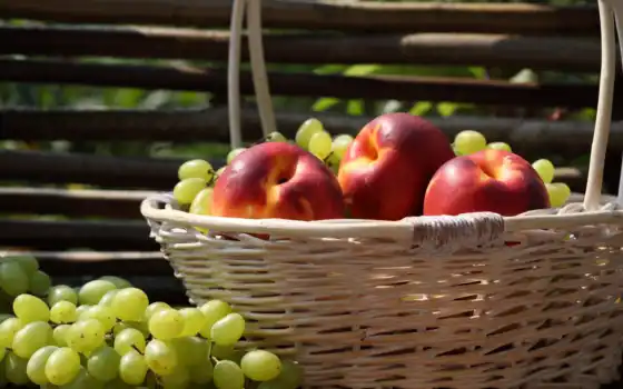 фрукты, корзина, виноград, забор, яблоки, нектарин, 