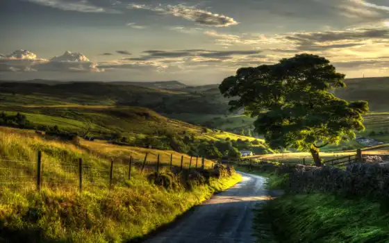 country, дорога, pictures, небо, природа, roads, трава, pinterest, trees, холмы, 
