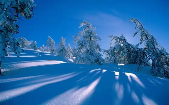 ,снег, гора, лес