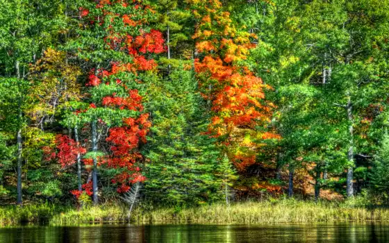 природа, осень, озеро, деревянная,